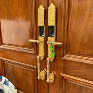 Khóa thông minh cửa tân cổ điển Kassler KL - 999 - Gia Huy Lock