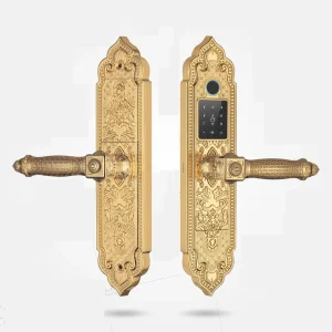 Khóa thông minh Kassler KL - 919 PRO GOLD