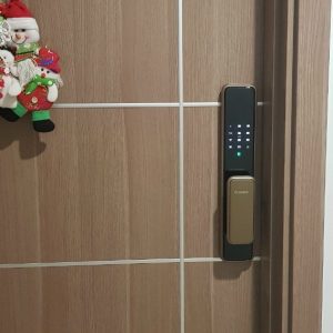 Khóa thông minh Bosch EL 600B - DE Face ID Gia Huy Lock