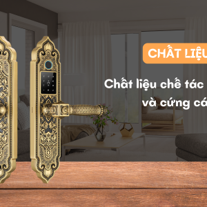 Khóa thông minh Kassler KL - 919 PRO COPPER
