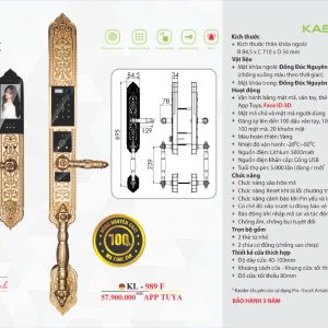 Khóa thông minh cửa biệt thự tân cổ điển Kassler KL - 989 F