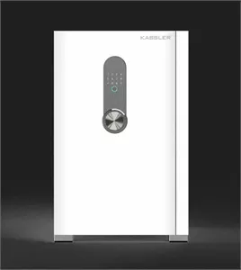 Két sắt thông minh Kassler KL -  55H8 - PEARL