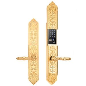 Khóa thông minh Demax EL8882 24K BRASS