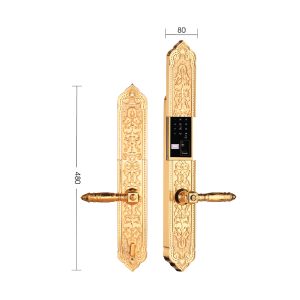 Khóa thông minh Demax EL 8862GOLD