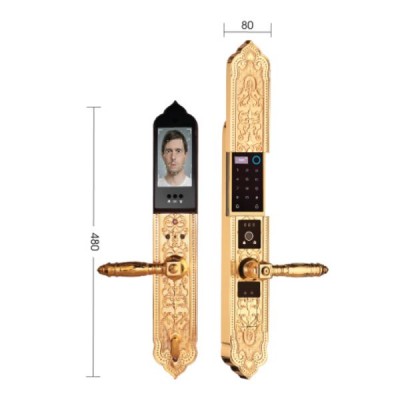 Khóa thông minh Demax EL 9862GOLD