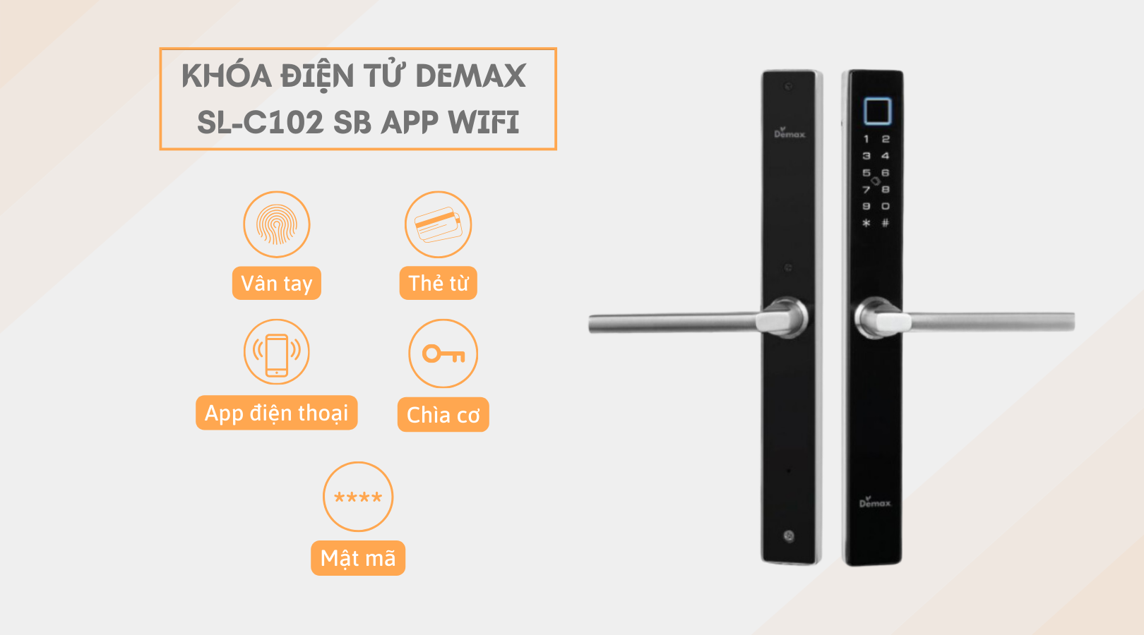 Khóa thông minh Demax EL-C102 SB - Ảnh 4