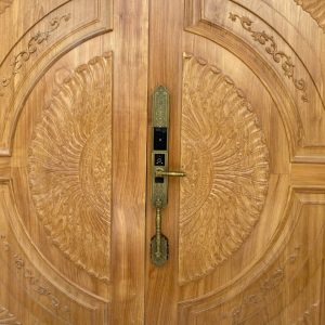 Khóa thông minh Demax EL 9862GB